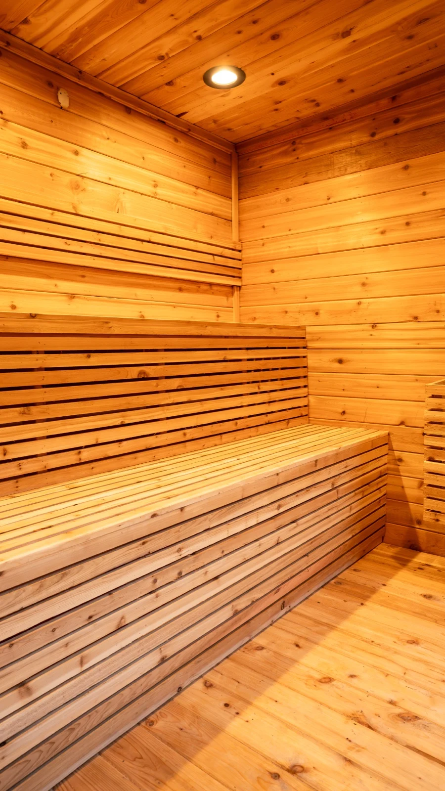 Cedar sauna interior with two-tier bench and slatted backrest